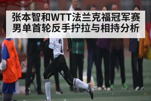 张本智和WTT法兰克福冠军赛男单首轮反手拧拉与相持分析